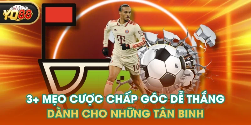 3+ Mẹo Cược Chấp Góc Dễ Thắng Dành Cho Những Tân Binh
