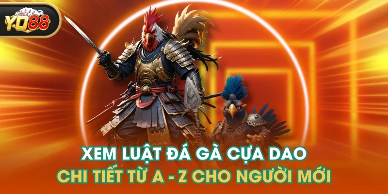 Xem Luật Đá Gà Cựa Dao Chi Tiết Từ A - Z Cho Người Mới